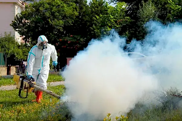 sivrisinek ve karasinek ilaçlama